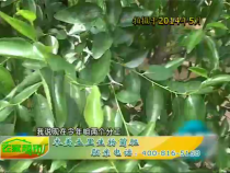 农家超市6月29日