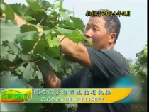 农家超市6月27日