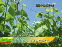 农家超市6月12日