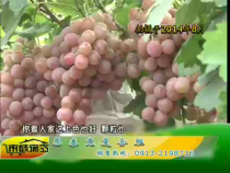 农家超市6月24日