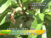 农家超市6月10日