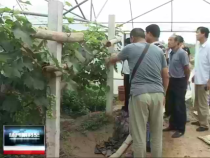 經開新時空7月9日