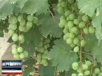 經開新時空7月2日
