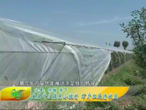 农家超市7月23日