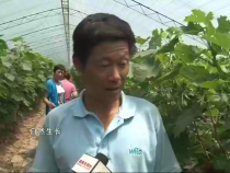 农家超市7月21日