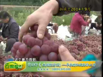 农家超市7月2日