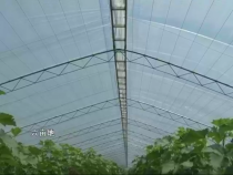 农家超市7月15日