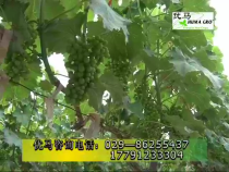 农家超市7月3日