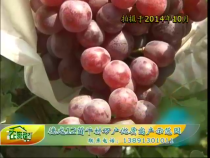 农家超市7月20日