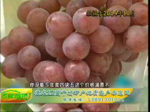 农家超市7月8日