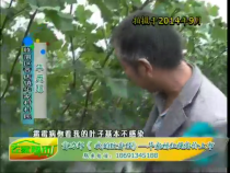 农家超市7月7日