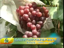 农家超市7月22日