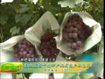 农家超市7月6日