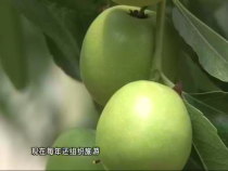 农家超市8月8日