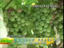 农家超市8月14日