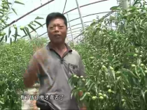 农家超市8月4日