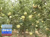 白水：循环农业打通农民绿色增收路