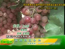 农家超市8月7日