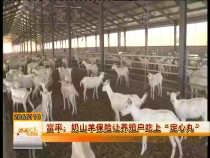 富平：奶山羊保险让养殖户吃上“定心丸”