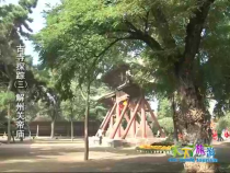 天下旅游10月15日