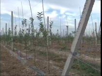 相約科技10月5日