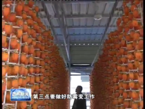 富平：阴雨天气影响柿子质量 林业技术人员及时指导