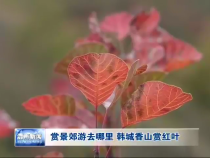 赏景郊游去哪里 韩城香山赏红叶