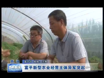 富平新型农业经营主体异军突起