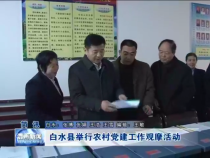 白水县举行农村党建工作观摩活动