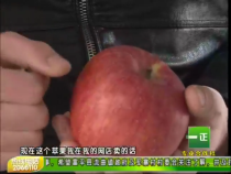 蒲城：电商助力 缓解苹果销售