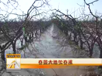 春回大地忙春灌