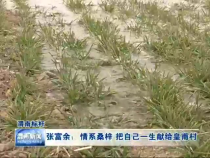 张富余：情系桑梓  把自己一生献给皇甫村