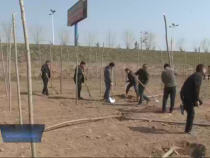 經(jīng)開新時空3月17日