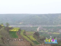 天下旅游4月14日