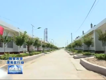 华阴市葱兴村：用移民搬迁和香椿产业撑起村民的明天