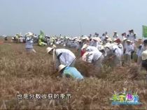 天下旅游6月9日