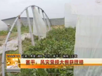 富平：风灾受损大棚获理赔