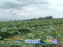 天下旅游7月11日