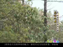 天下旅游7月18日