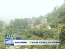 韩城市楼枝村：产业扶持 移民搬迁 斩穷根变新貌