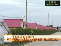 《大荔美丽乡村行》平罗村——幸福乡村“靓”农家 融合发展见成效