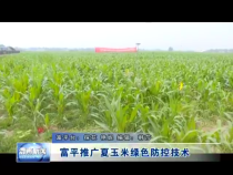 富平推广夏玉米绿色防控技术
