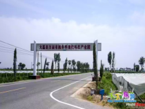 天下旅游8月8日