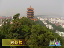 天下旅游8月25日