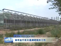 省农业厅在大荔调研相关工作