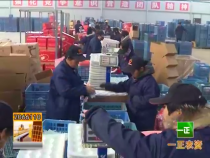 “双十一”白水苹果借助电商平台销售1600万