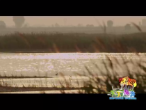 天下旅游11月24日