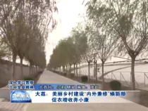 大荔：美丽乡村建设“内外兼修”焕新颜 促农增收奔小康