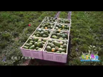 天下旅游12月5日