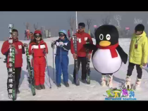 天下旅游1月12日